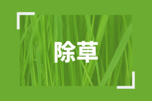 除草について