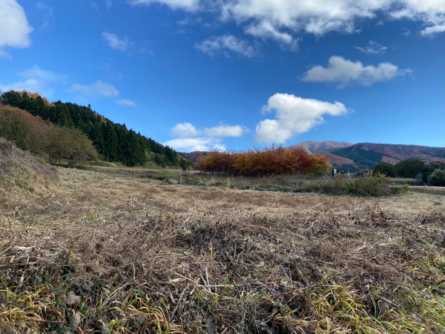埼玉県日高市の使っていない農地