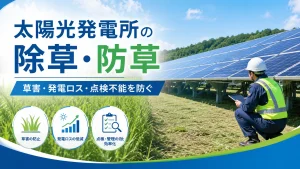 太陽光発電所の除草・防草はなぜ必要？発電ロス・点検不能・ケーブル損傷を防ぐ考え方
