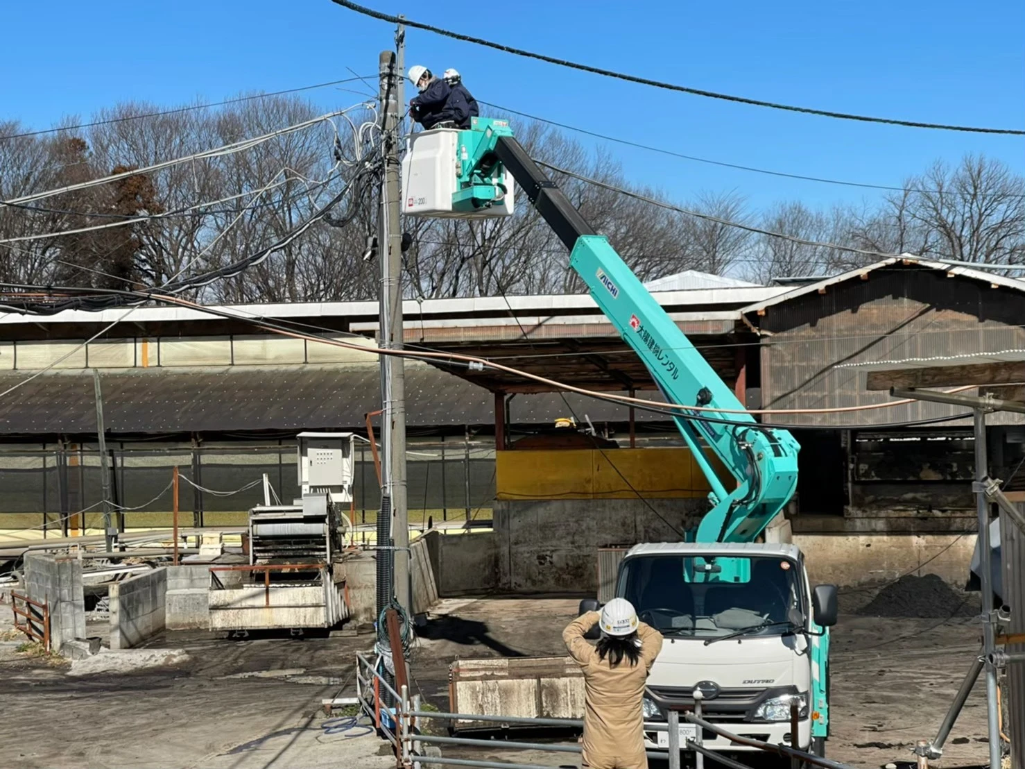 養豚場敷地内で高所作業車を使用して既設電柱まわりの架空配線を施工している状況