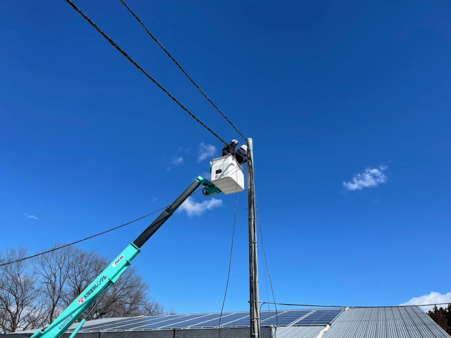 群馬県の養豚場で既設電柱を使用して自家消費型太陽光の架空配線を行う作業状況