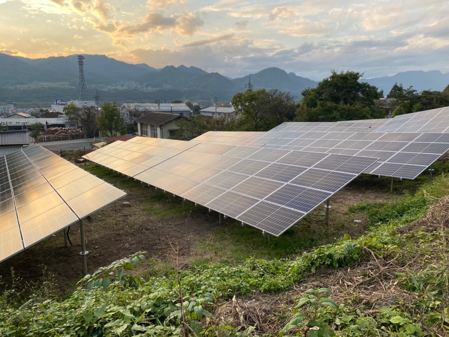 傾斜地に設置された野立て太陽光発電アレイの完成写真