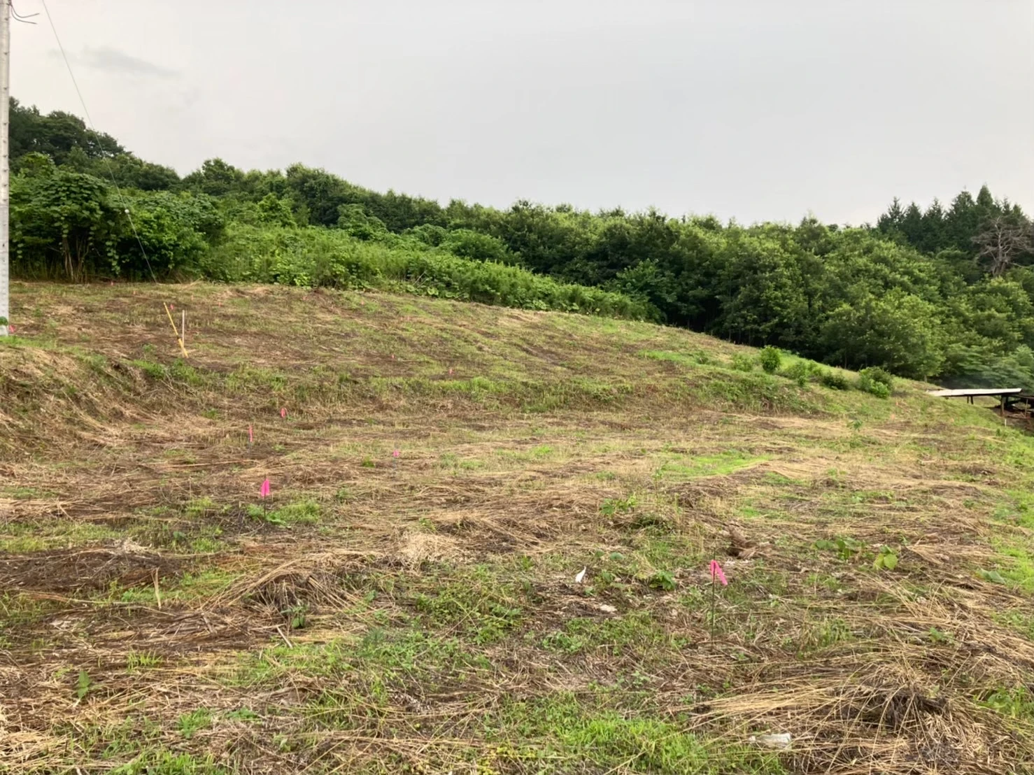群馬県高山村のノンフィット太陽光発電所の着工前敷地と杭位置確認