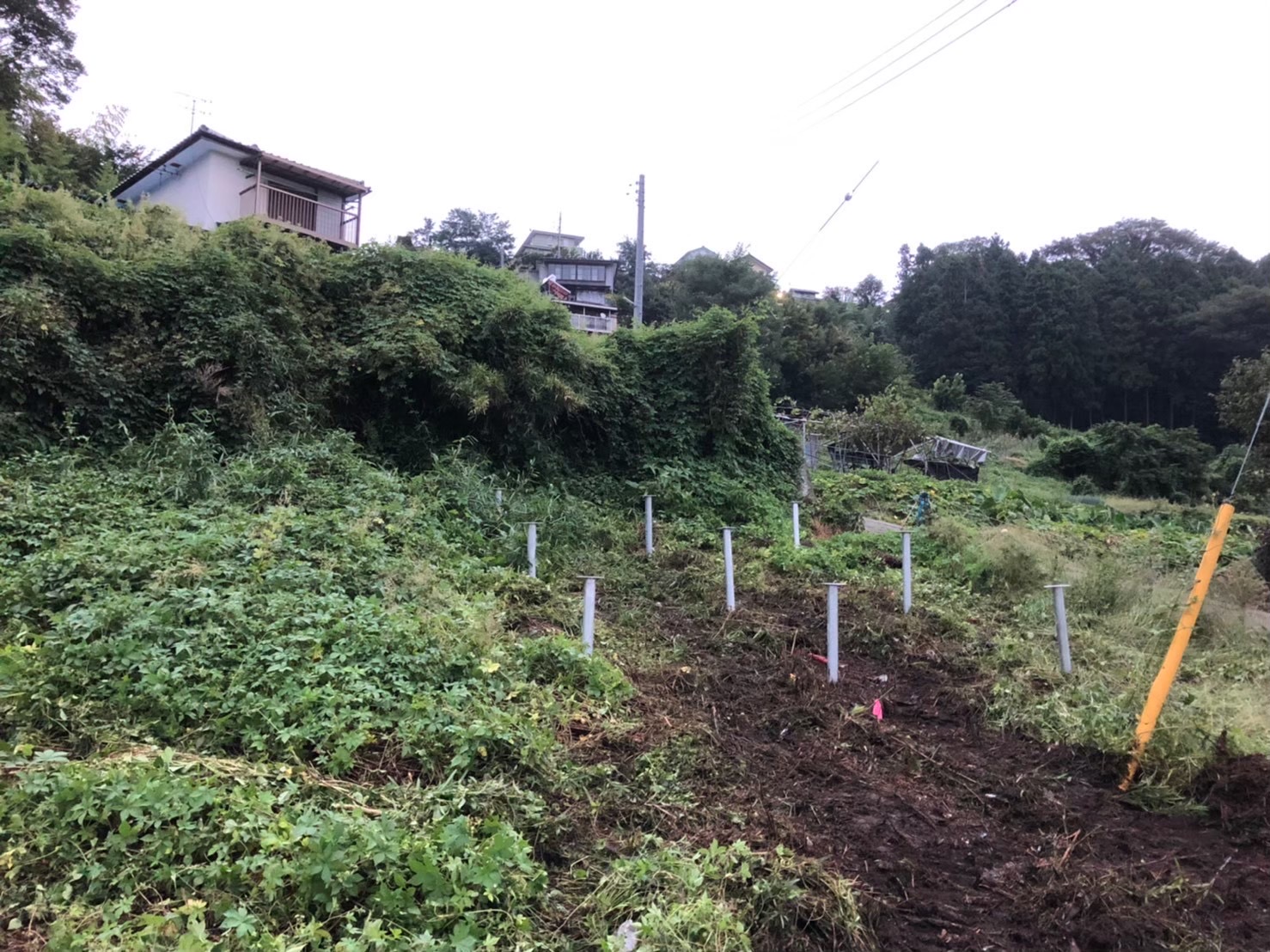 傾斜地で杭を施工した野立て太陽光発電現場